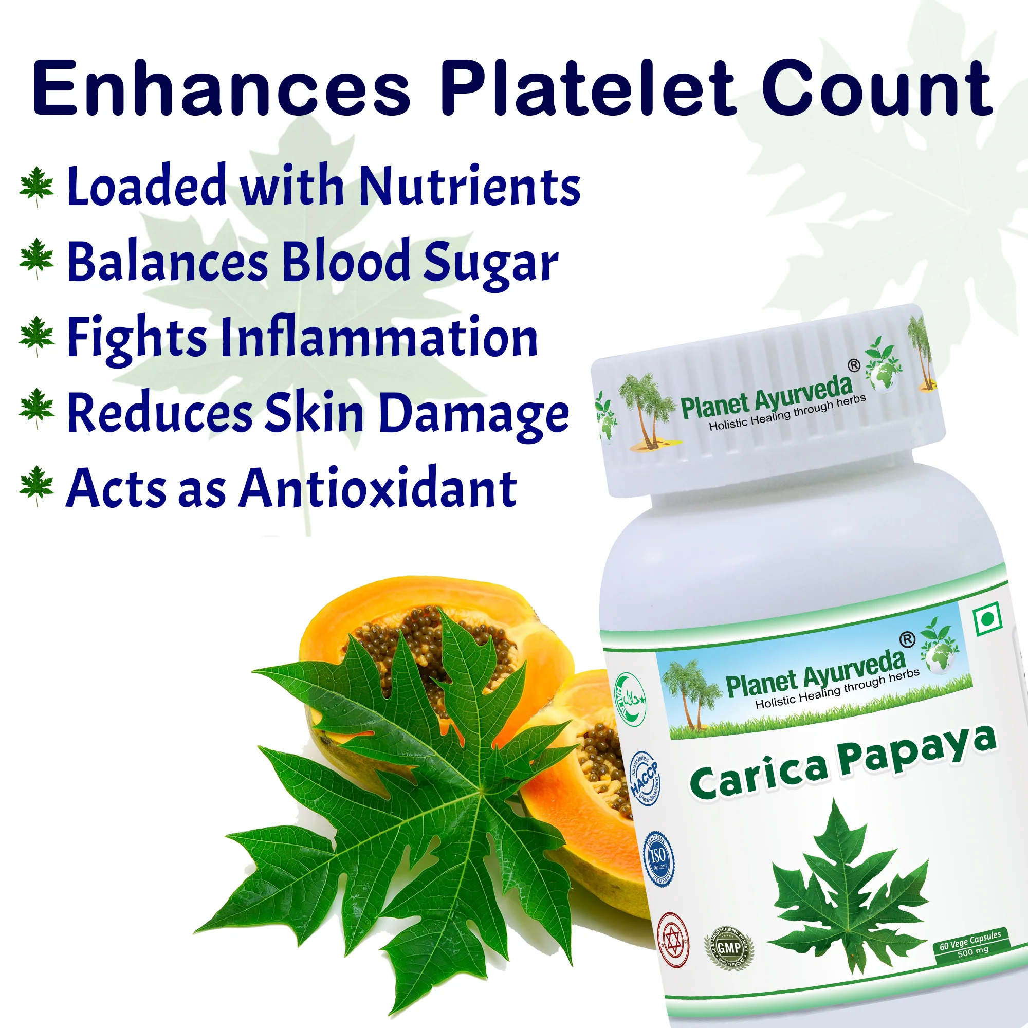 CARICA PAPAYA CAPSULES - Image 2